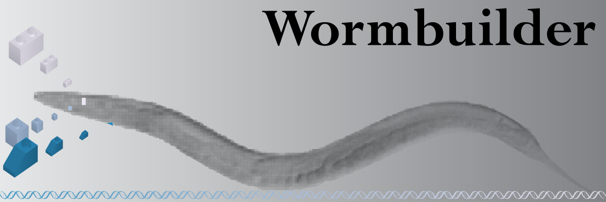 Modifying the C. elegans genome.